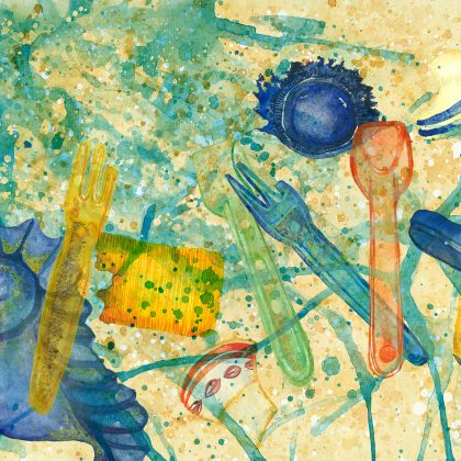 Web Design & Photography In Faversham Kent