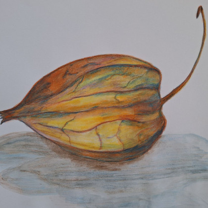 Jeanette Kenny 